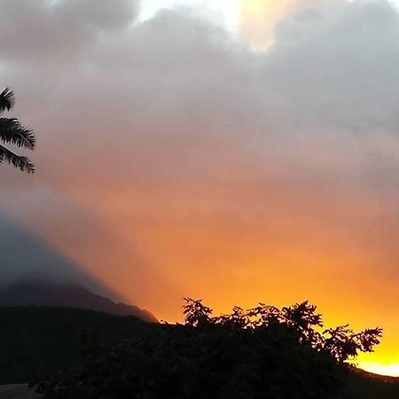 Paradise Palms B & B Kailua Exteriér fotografie