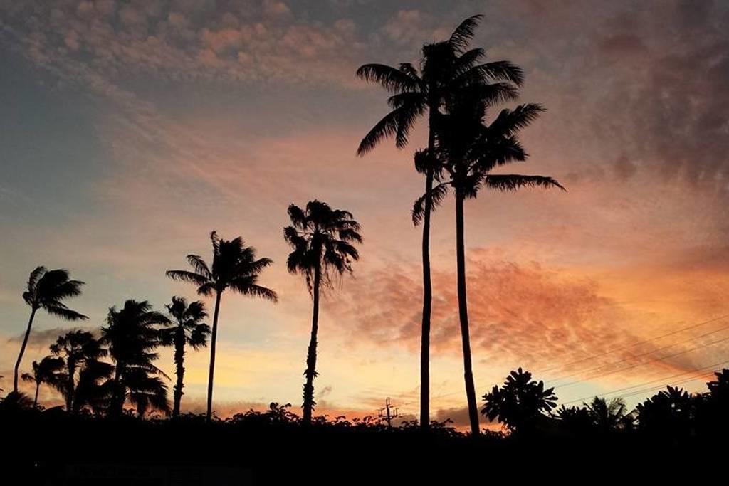 Paradise Palms B & B Kailua Exteriér fotografie